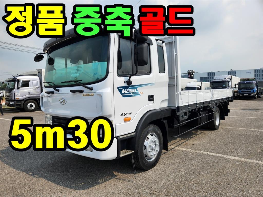 현대 메가트럭 4.5톤 카고 2008년식 사진 1